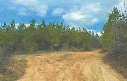 Attala County, Kosciusko, MS 39090