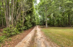 1436 Britton Road, Sumter, SC 29153