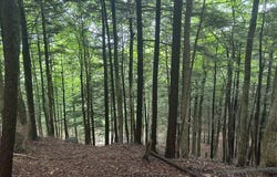 L38.12 S Shore Road, Edinburg, NY 12134