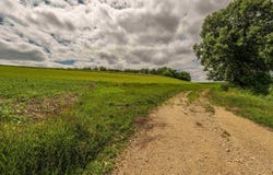 Lot 1 17.8 Acres Disch Road, Monticello, WI 53570