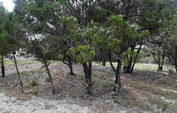 20613 Falcon, Lago Vista, TX 78645