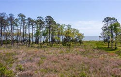 47 Beauregard Blvd, Daufuskie Island, SC 29915