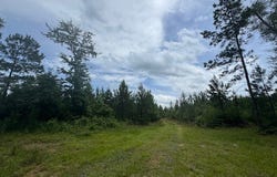 0 Salco Rd., Axis, AL 36505