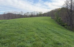 1999 Snake Run Rd, Alderson, WV 24910