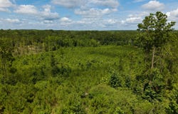 00X Highway 35 North, Carthage, MS 39051