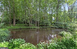 718 SPRINGVALE RD, GREAT FALLS, VA 22066