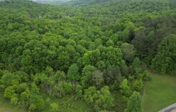 Lot 7 Duvall Rd, Caneyville, KY 42721