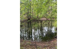 Samson Clements Loop Rd, Berry, AL 35546
