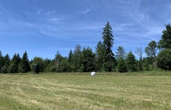 171 Mask LN, Toutle, WA 98649