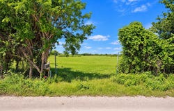 441 County Rd 2418, Hillsboro, TX 76645