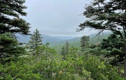 705 NM-120, Angel Fire, NM 87710