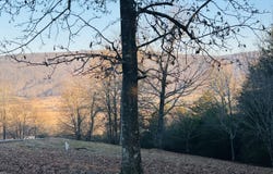 Skyhigh Drive, Dunlap, TN 37327