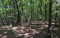 Overlook Dr, Bradford, AR 72020