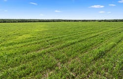 Tbd County Rd 302, Coleman, TX 76834