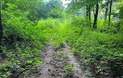 3+ /- Acres On 3+ /- Acres on PHELPS Road, Conneaut Twp, PA 16424