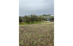 481 Quail Hollow, Eagle Point, OR 97524