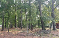 Gin Pond Drive, Summerton, SC 29048