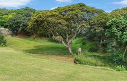 42-311 Old Kalanianaole Road, Kailua, HI 96734