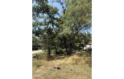 V/L 18th St, Dorr, MI 49323