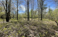 Forest Hill Drive, Blakeslee, PA 18610