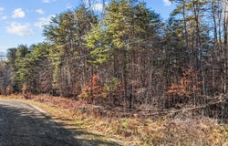 0 Joyce Road, Providence, NC 27315