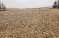 868 Rd, Belden, NE 68717