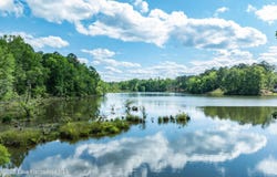 1728-31 Sturdivant Rd, Jacksons Gap, AL 36861