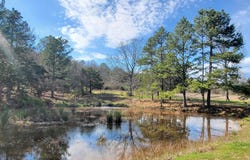 820 Blow Out Mtn. Road, Pencil Bluff, AR 71965