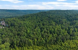 Lot #5 HIGHWAY 75, ONEONTA, AL 35121