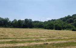 Lot 1 Water Avenue Downum Addition, Elm Springs, AR 72728