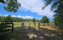 157 Mingo Chandler Rd., Nesmith, SC 29580