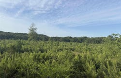 000 Brannon Road, Greenbrier, AR 72058