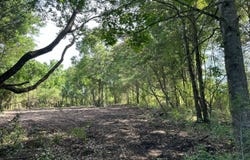 0a Clyde Lofton Road, Sumrall, MS 39482
