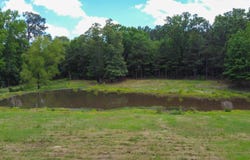 3388 County Road 4223, Bivins, TX 75555