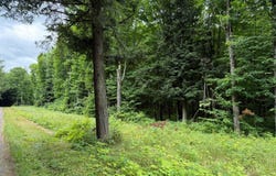 25 A On BEARSKULL RD, Park Falls, WI 54552
