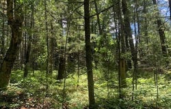 CAMP 12 RD lot: On, Eagle River, WI 54519