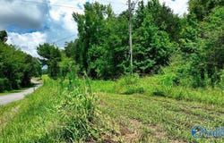 1454 N Pleasant View Road, Falkville, AL 35622