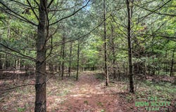 V/L 11737 Ellis Road, Ravenna, MI 49451