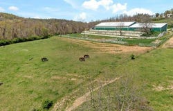 44 Kaukonen Dr, California, PA 15423