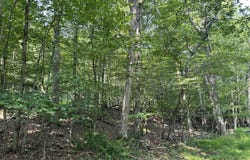 Timber Hill Rd 3C, Henryville, PA 18332