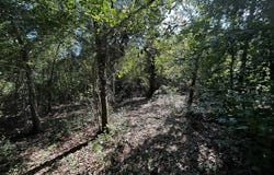 1787 Buddy Johnson, East Dublin, GA 31027