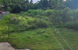 Urb. Toita Hills, Cayey, 00736