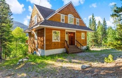 234 PETERSON DRIVE, Alma, CO 80440