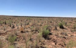 Tbd Chevron Creek Estates Lot 32, Joseph City, AZ 86032