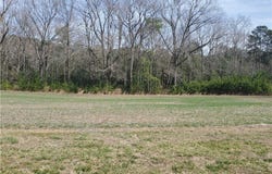 Canvasback Drive, Ophelia, VA 22530