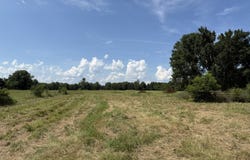 0 Hwy 584, Rayville, LA 71269