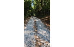 144 Gunter Place Rd, Sunbright, TN 37872