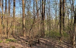 N Ledge Trail, Fancy Gap, VA 24328