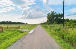 310 Sandswitch Road, Ennis, TX 75119