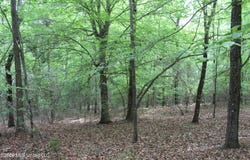 Charlie Boyd Road, Jayess, MS 39641